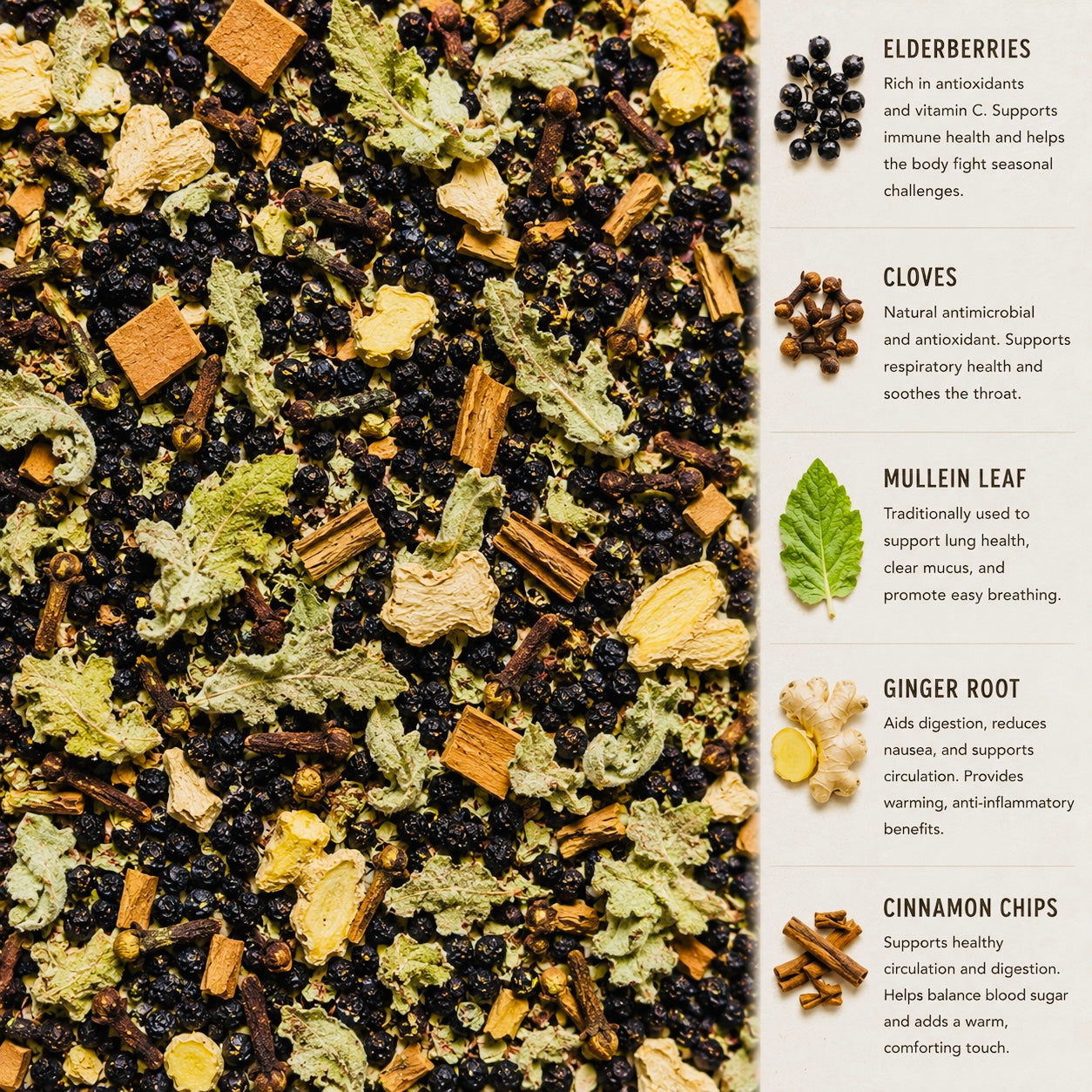 Elderberry Elixir